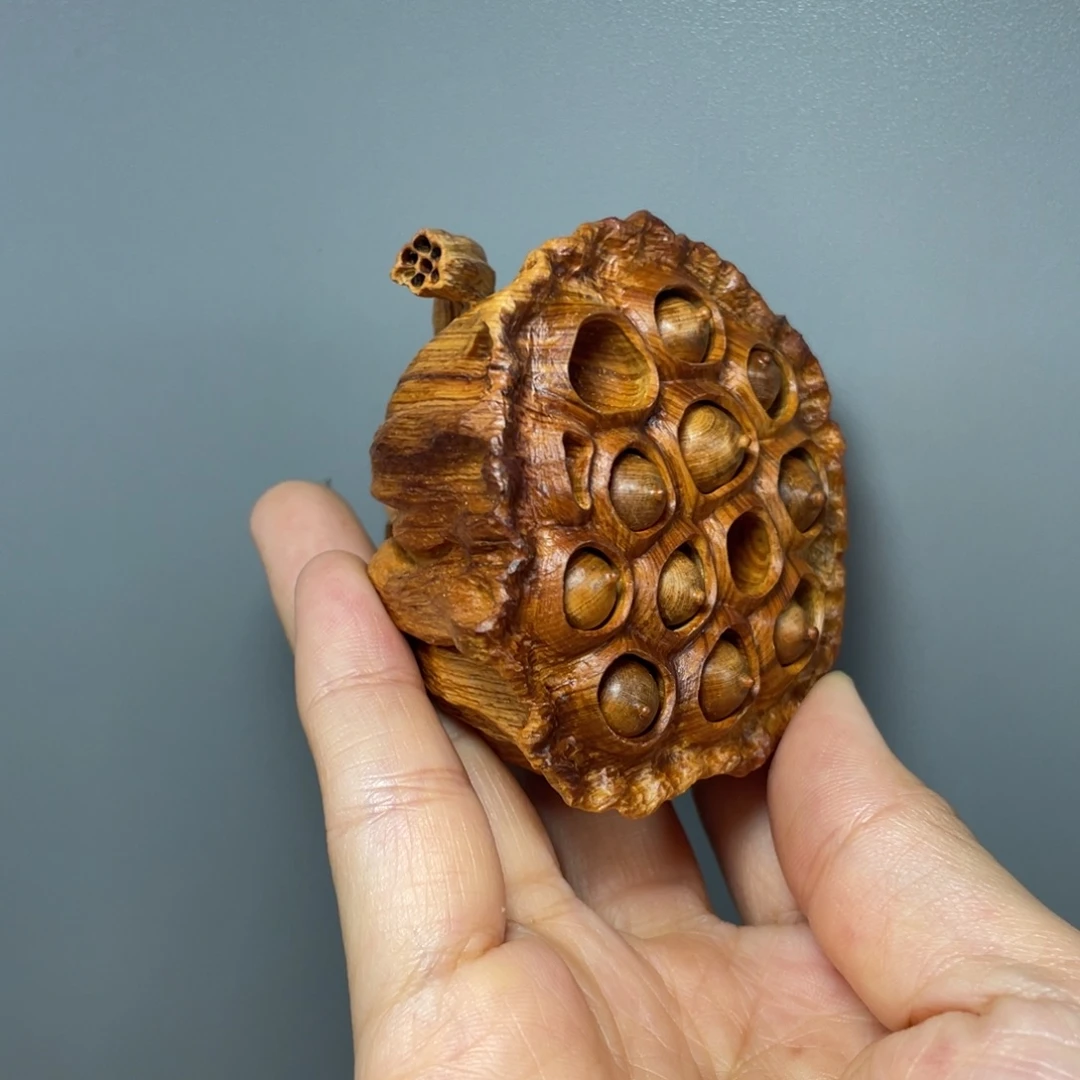 太行崖柏黑油莲蓬