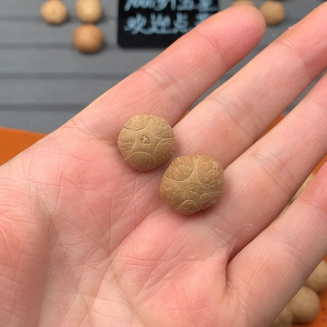 吊坠凤眼菩提微瑕两颗打包