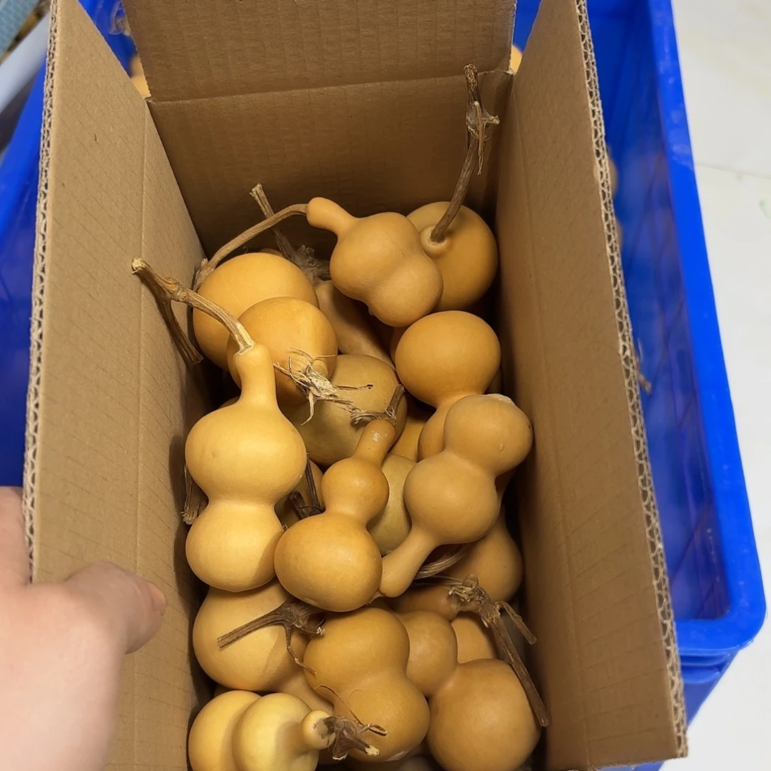 搬***叔八宝通货20个默认微瑕