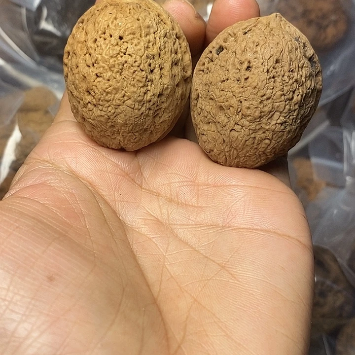 文玩核桃把件云南铁核桃1
