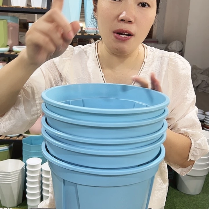 青山口24高24蓝色5只无托