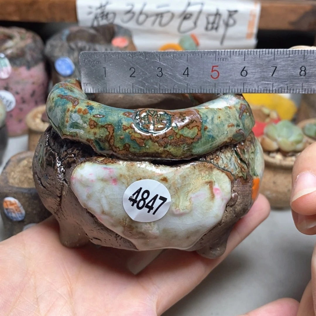 狮***娜拍3送一个小礼物