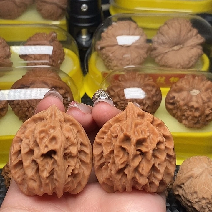 39全品大龙