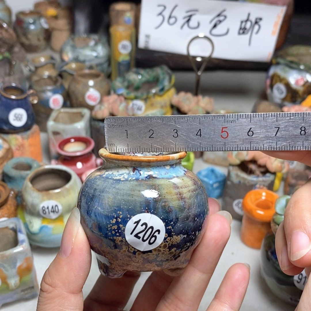 拍5送一个小礼物