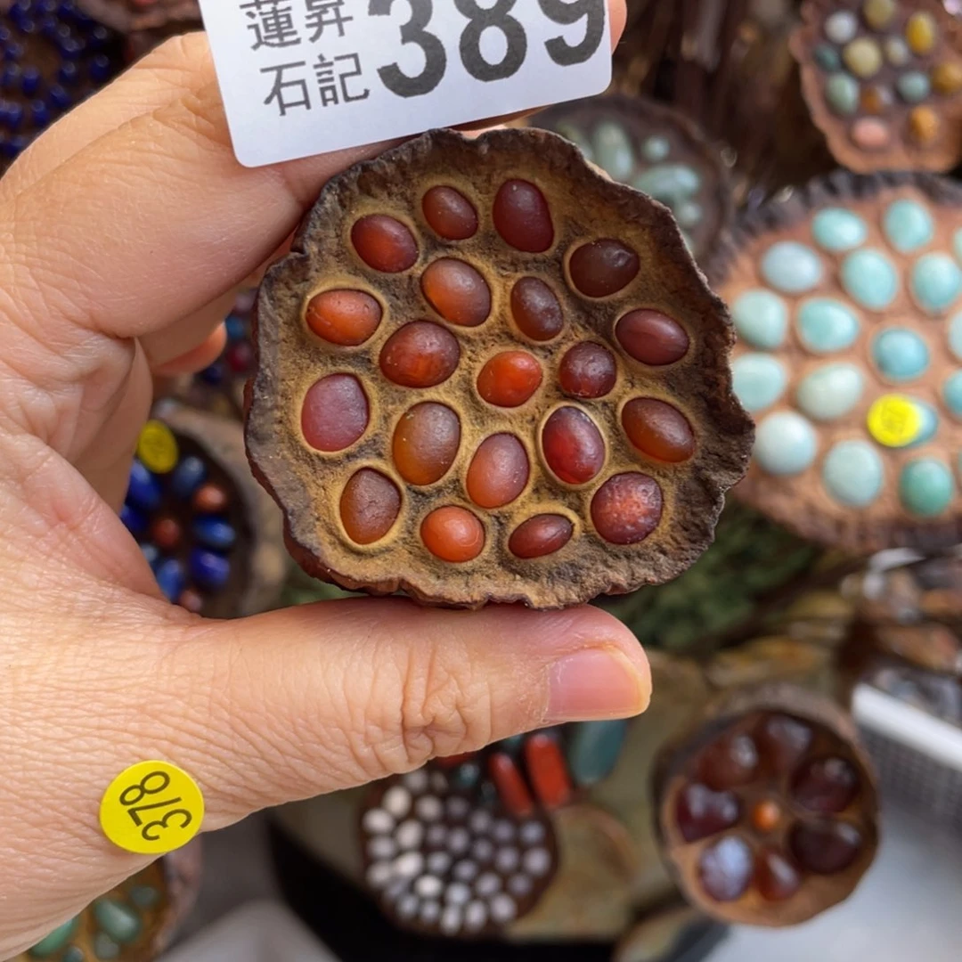 核桃木/黑胡桃（胡桃木）羽*?389