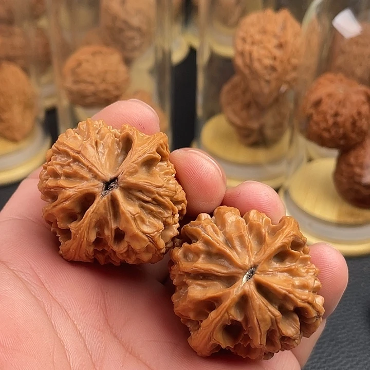 40头货大孤石核桃