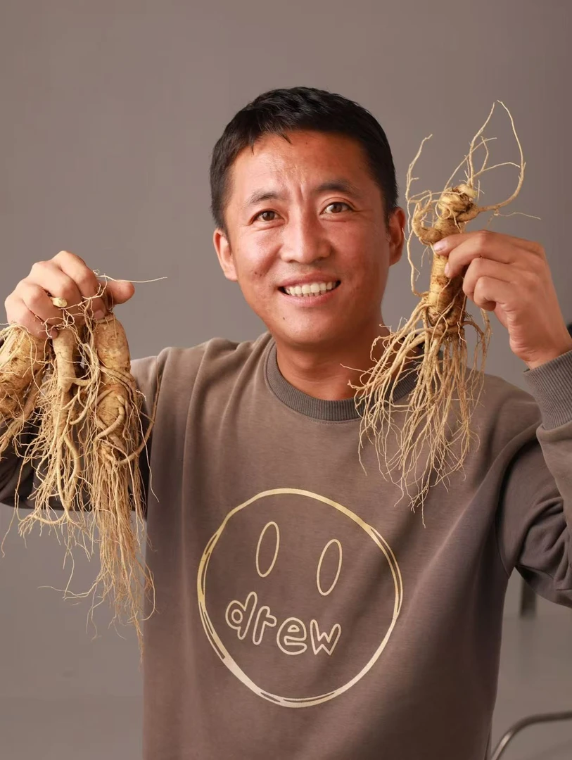 长白山原产地新鲜人参两支每支60g送一支60g共三支