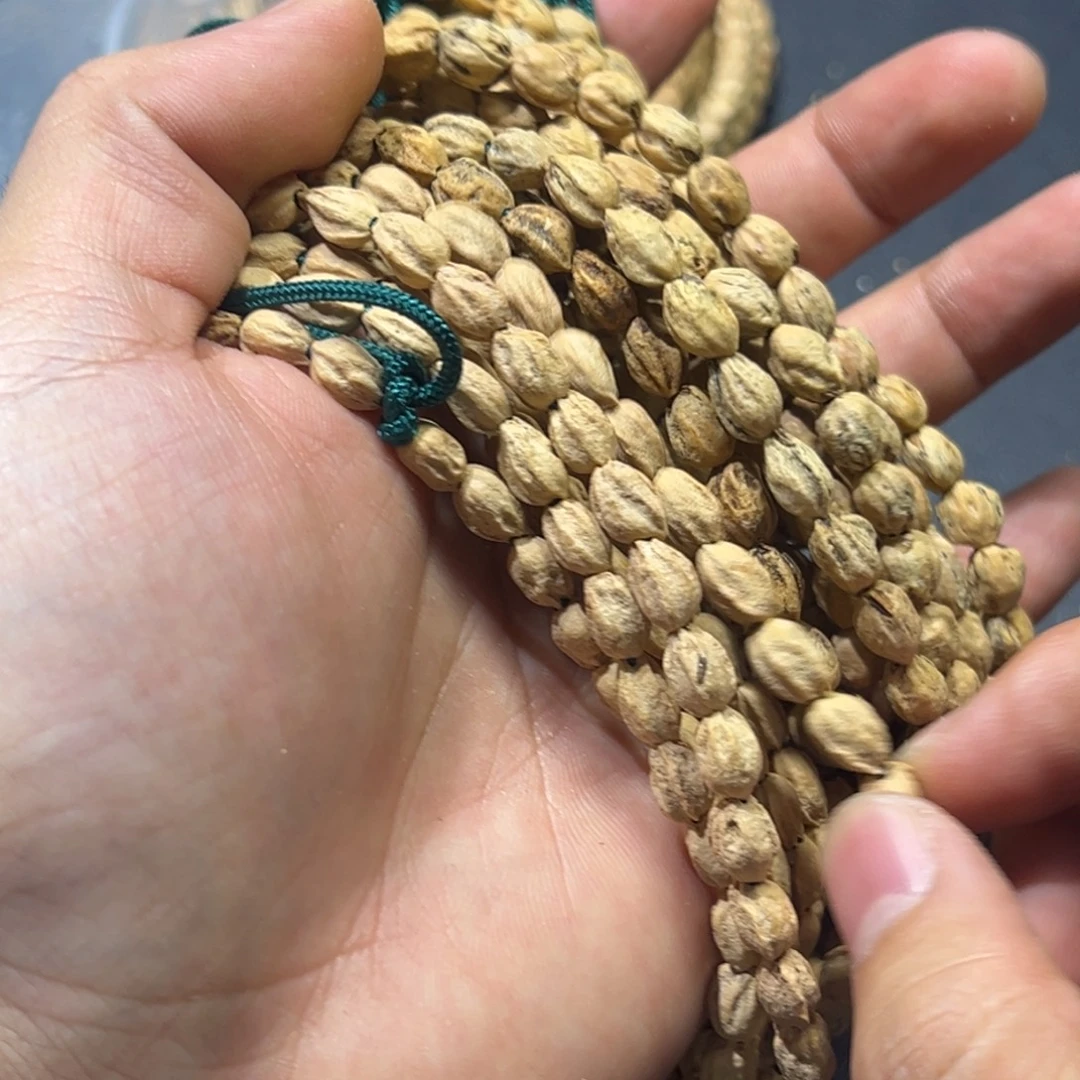 柏香籽/百香籽吊坠F02手持