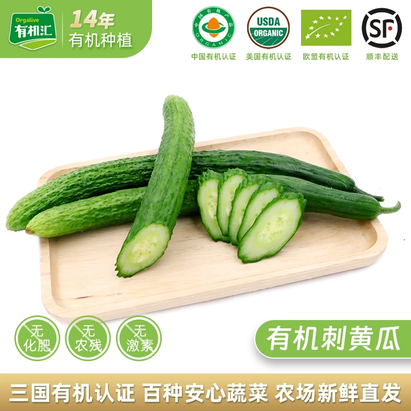 有机汇有机黄瓜新鲜有机蔬菜带刺黄瓜榨汁健身生吃凉拌青瓜500g