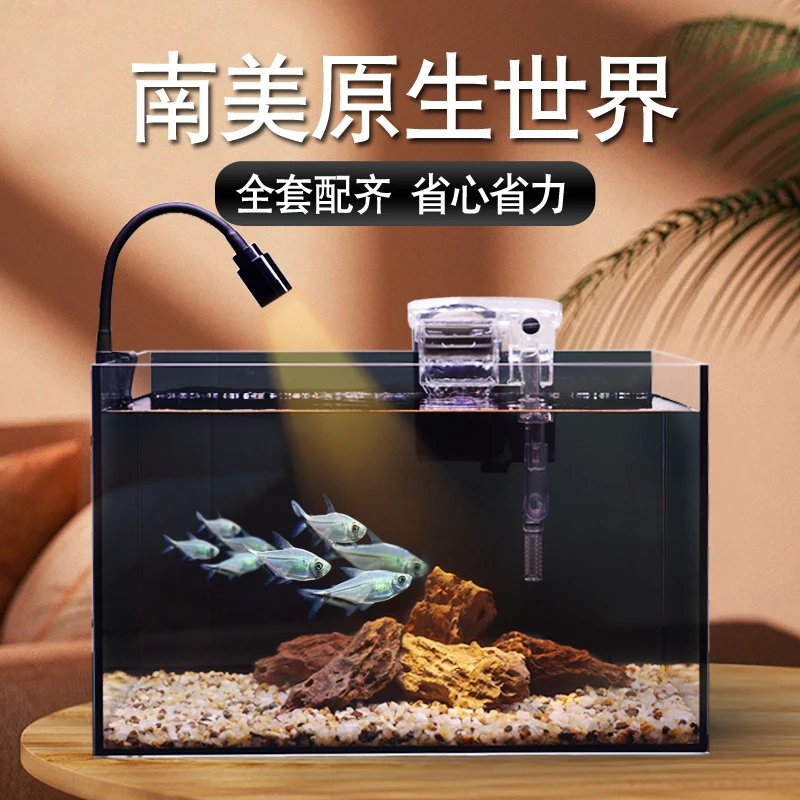 【新奇宠物】南美造景超白玻璃鱼缸桌面生态缸造景客厅小型家用鱼缸