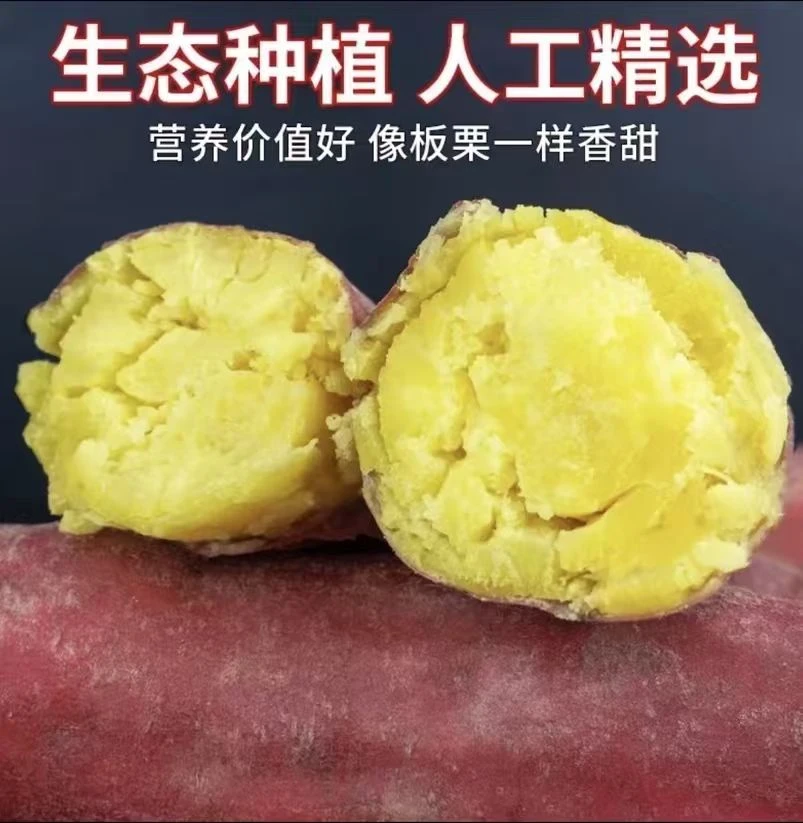 【买3斤送2斤】红薯新鲜沙地蜜薯板栗红薯地瓜香薯饱满皮薄现挖