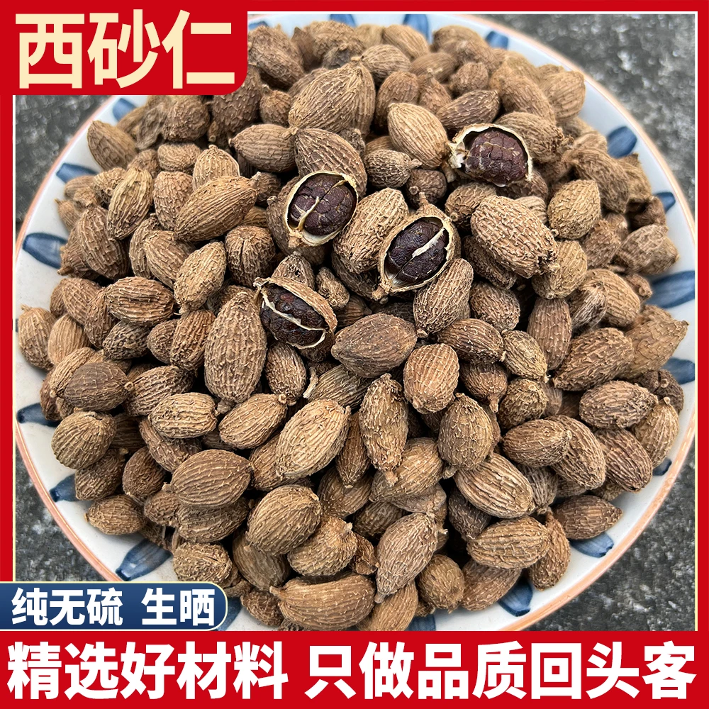 西砂仁新货春砂仁广砂仁春沙仁毛砂仁西砂仁专用煲汤香料调料阳春