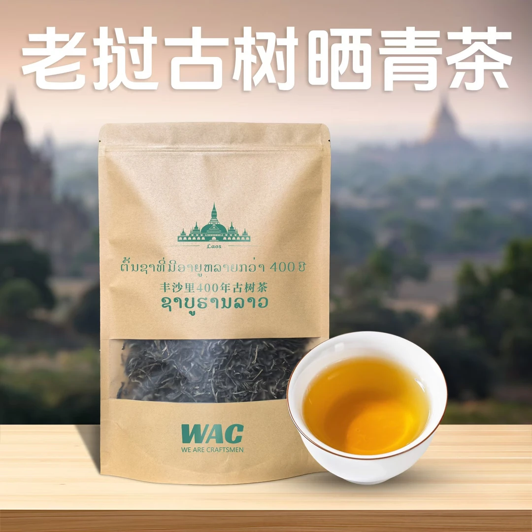 【2025年头春生普】炒青绿茶老挝古树茶普洱生普茶古树生普晒青生茶