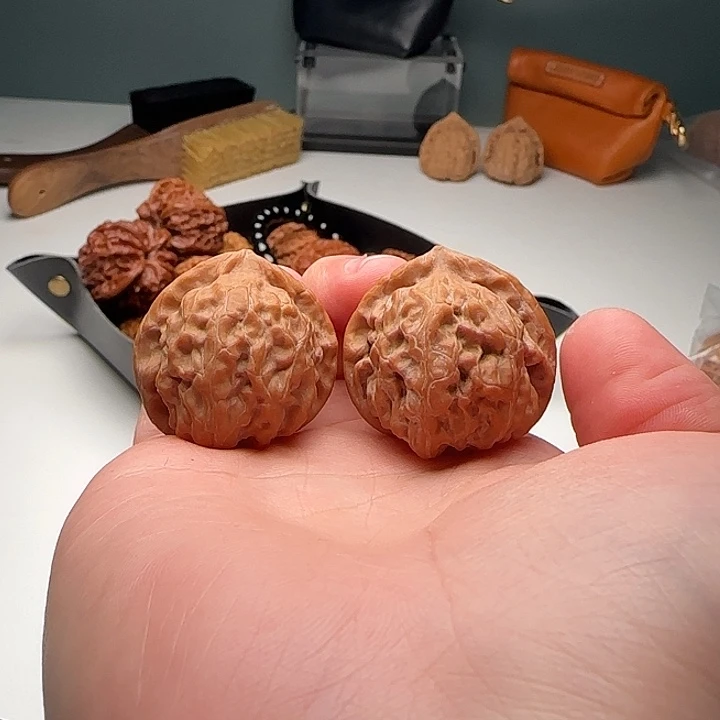 32-33-30蓟县火桃B21号