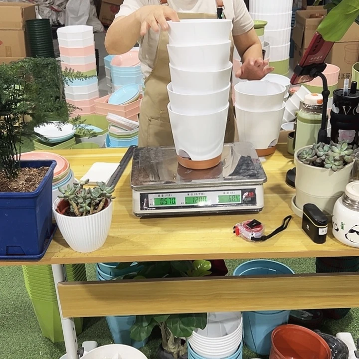 一体盆直口15高15白色5只