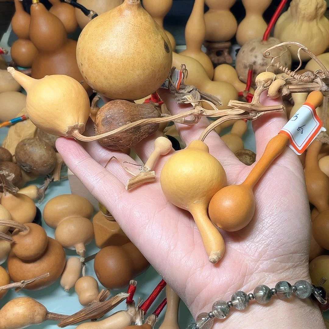 S**珂直播间葫芦专拍连枝