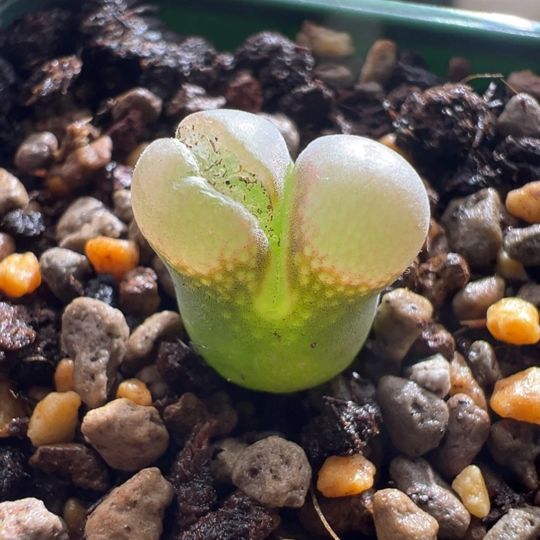 l***9613b23杂福利一颗2.5年