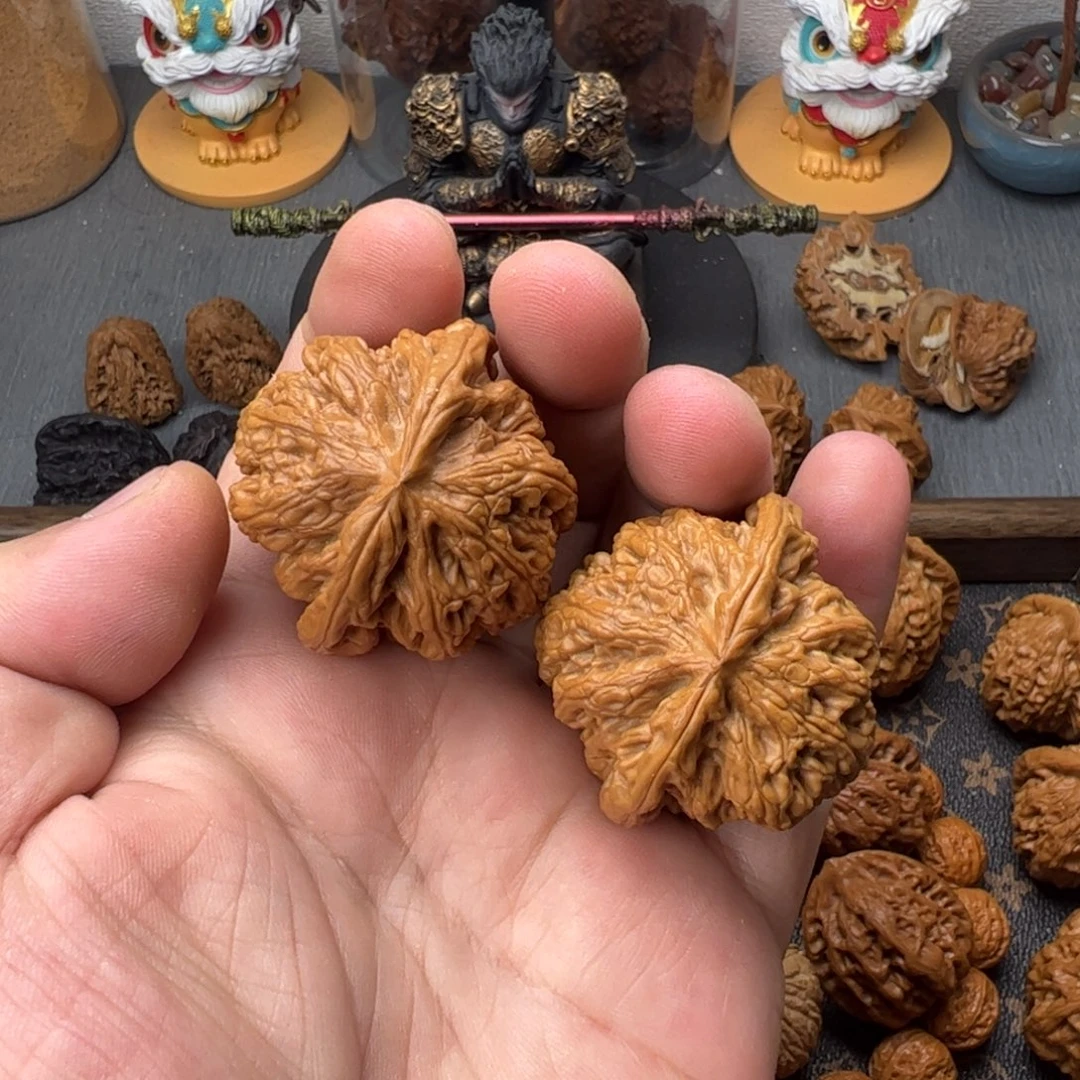 43平谷大粗筋练手对