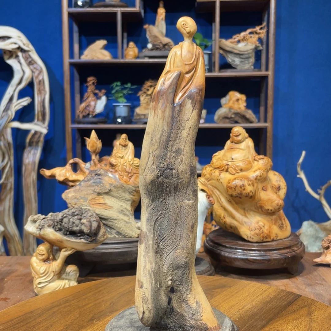 柏木（崖柏）5688669