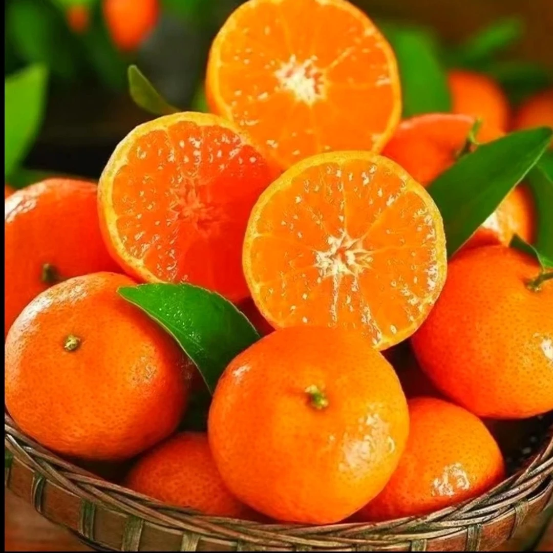 【年货节补贴】正宗广西砂糖橘4斤（25-50mm）精选产地直采