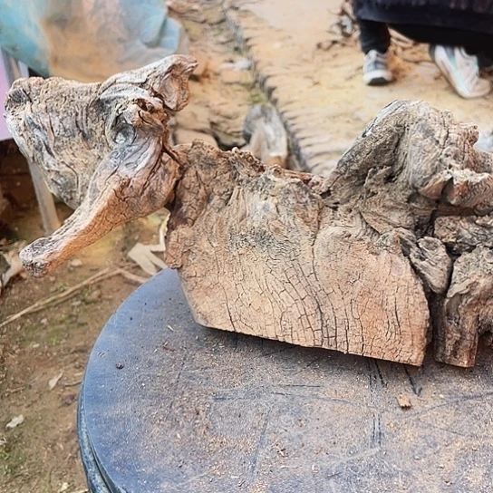 爱***桩香榧木崖柏崖柏崖柏