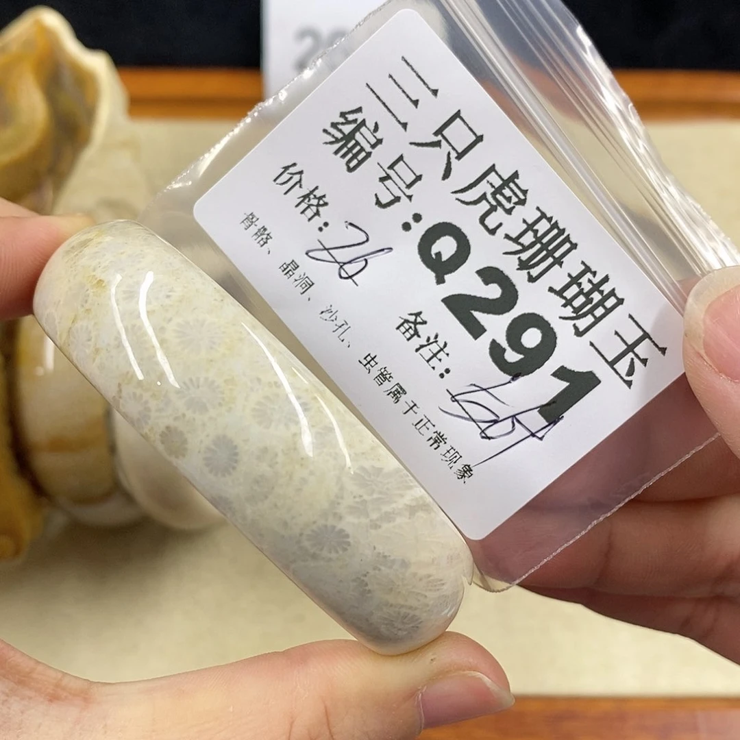 硅化珊瑚（珊瑚玉）1未镶嵌书*宇