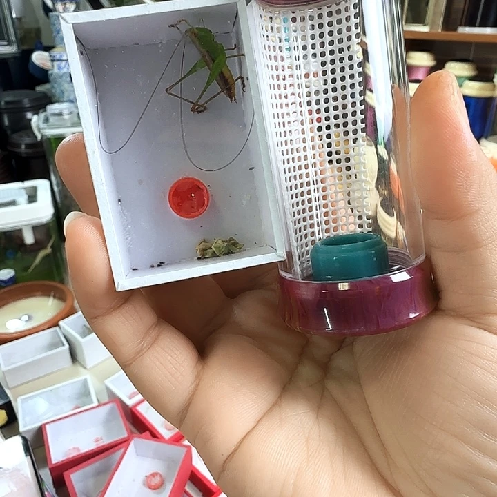 糖果紫粉套啊啊啊啊啊啊