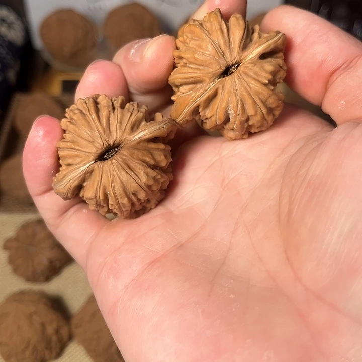 核桃四座楼39尺…………