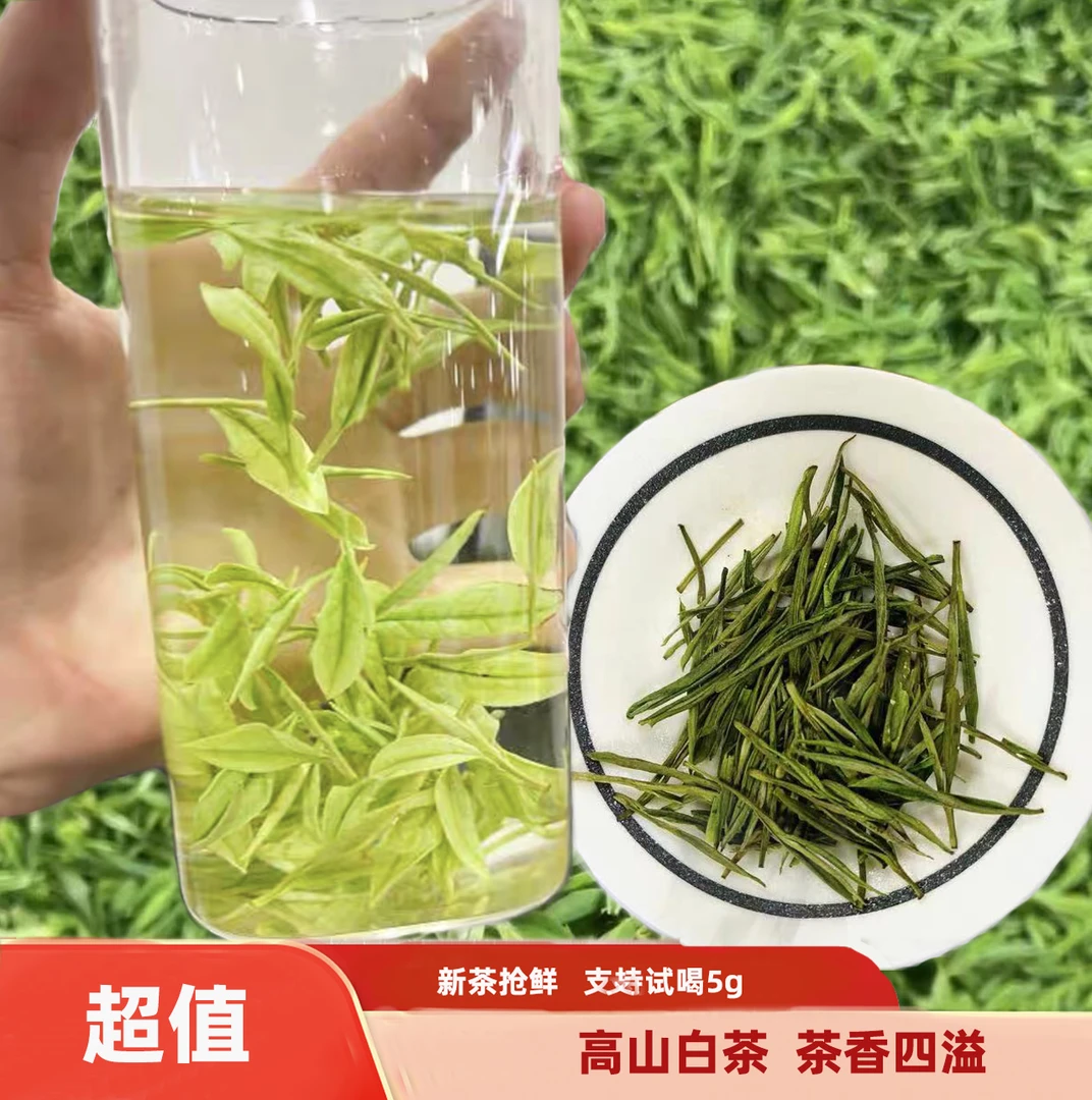 口粮茶早春白茶安吉高山新茶浓香型绿茶兰花茶叶绿茶