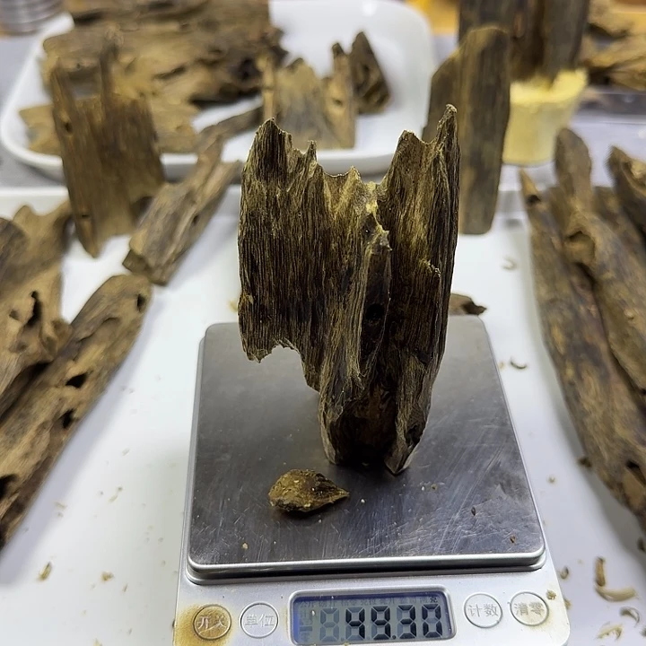 香料乌身圆叶虫漏香49克