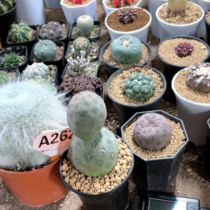 @****产3333333333333