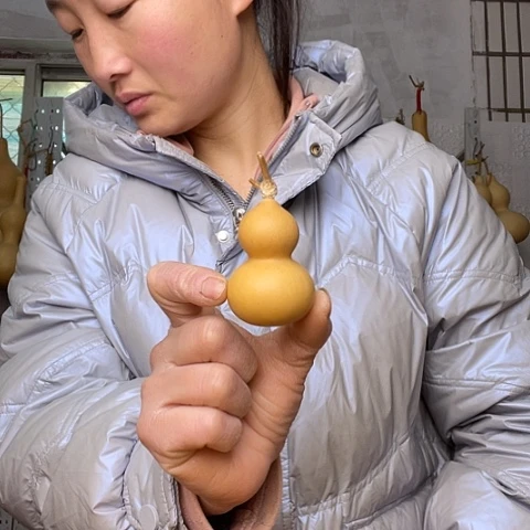 小**子天然植物葫芦文玩