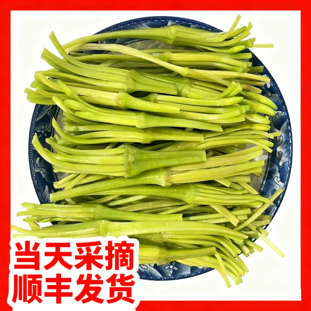 【顺丰包邮】云南大理水性杨花海菜花新鲜现采现发特色蔬菜