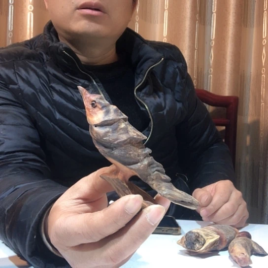 木一y y y y y y y