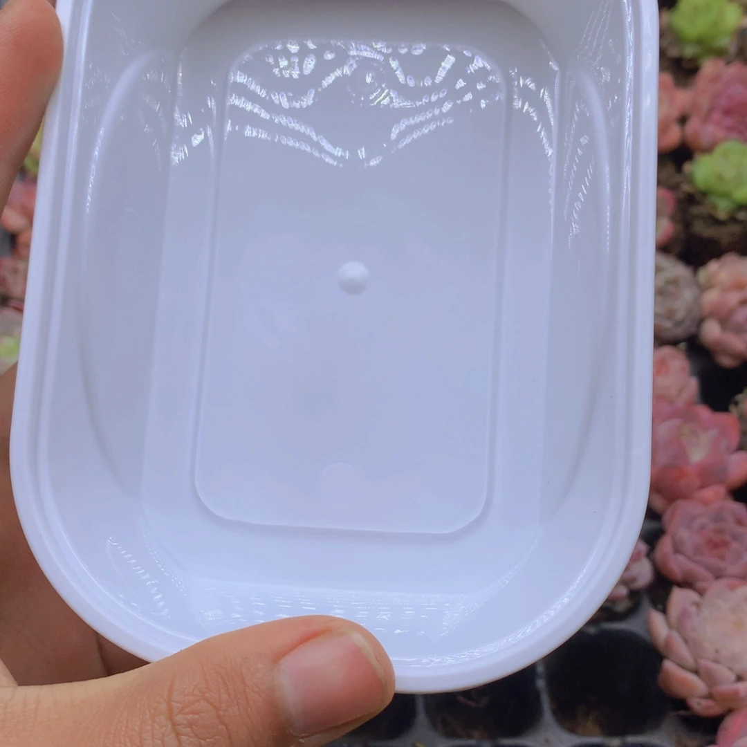 王***虎私人订制一整盘菜002