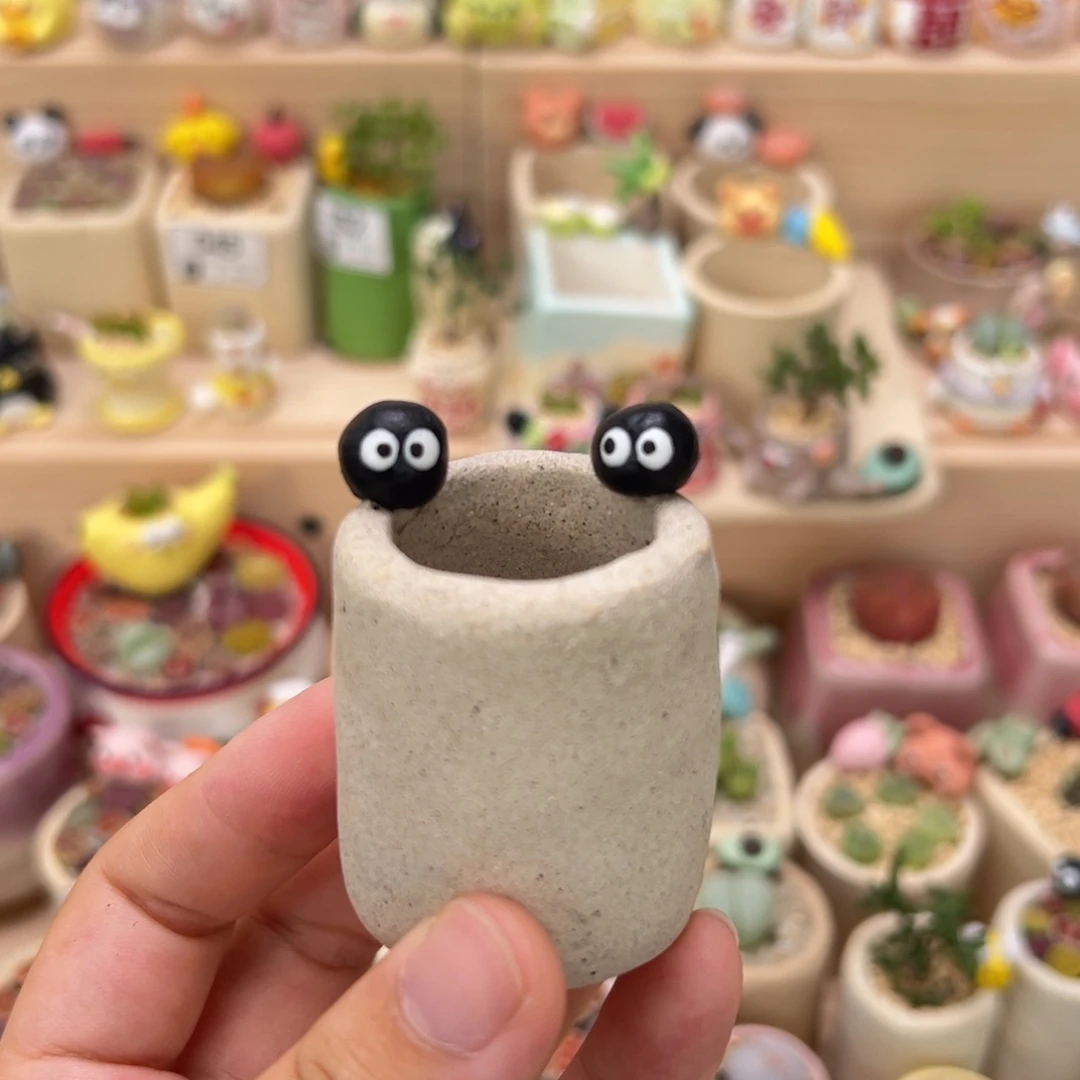 @***耀多肉植物88号单独盆