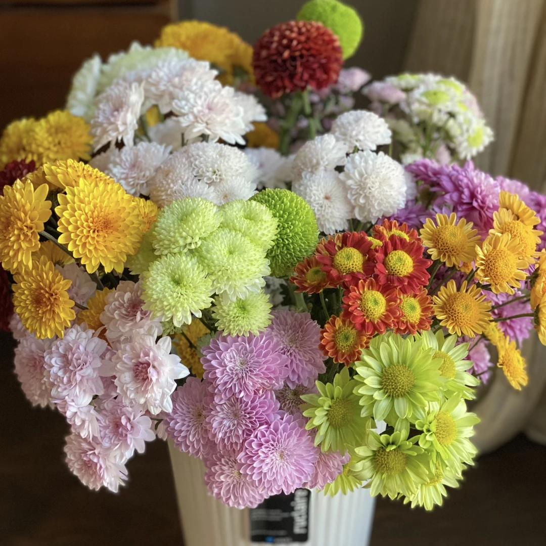 【10枝混色小菊】任意两单鲜花升级冷链 只拍一单普快不售后