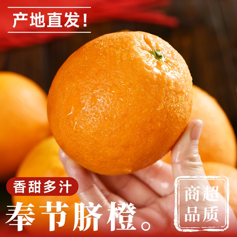 【整箱9斤】正宗重庆奉节纽荷尔脐橙新鲜水果当季手剥橙果冻橙甜橙