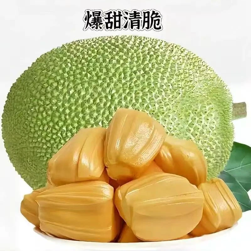 甄选越南黄肉菠萝蜜肉质黄色   福利默认取芯