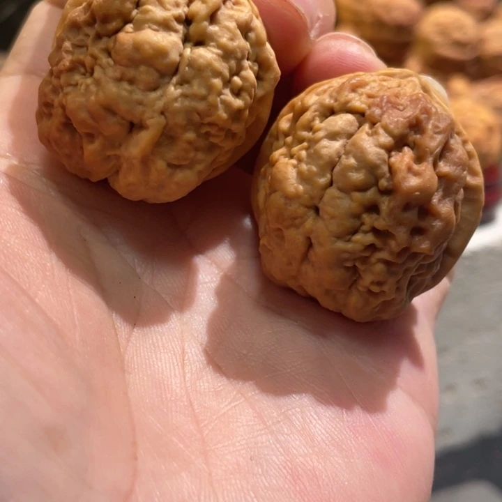文玩核桃把件编号32