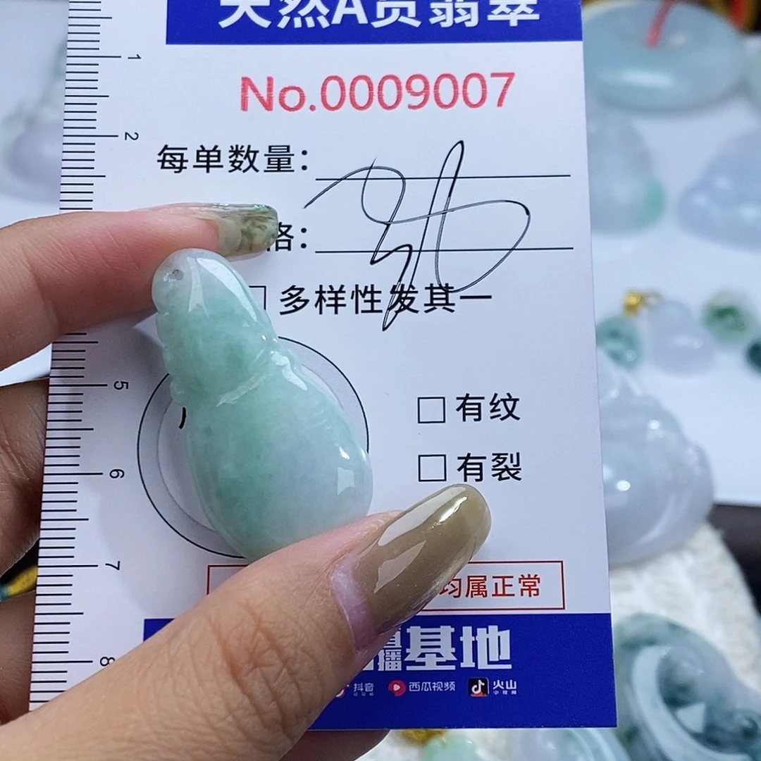 翡翠未镶嵌颈饰9007