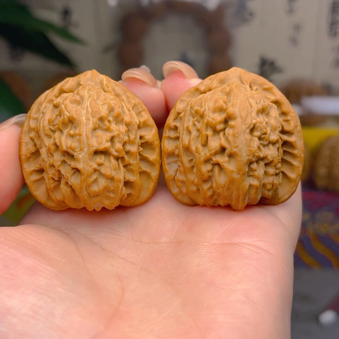 白狮子头三十八尺