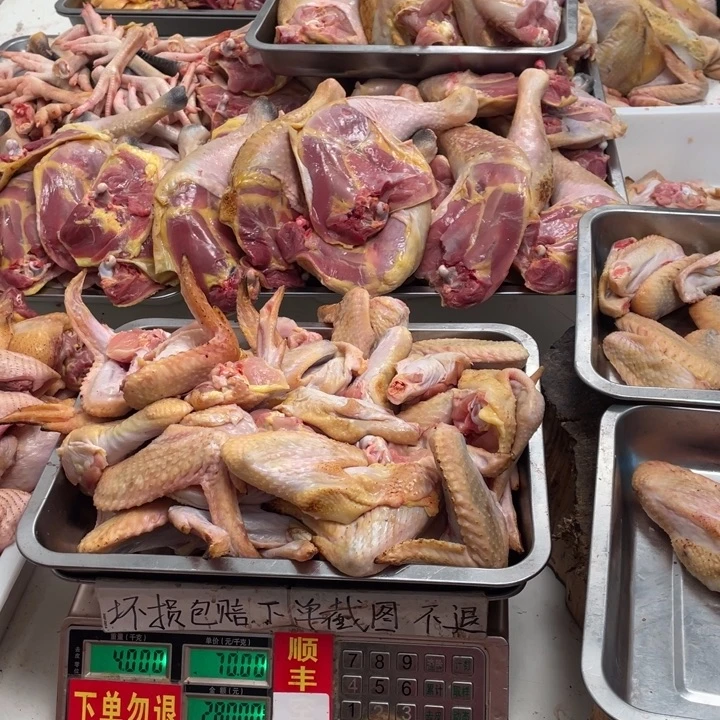 气***美冷冻60天中国大陆包装