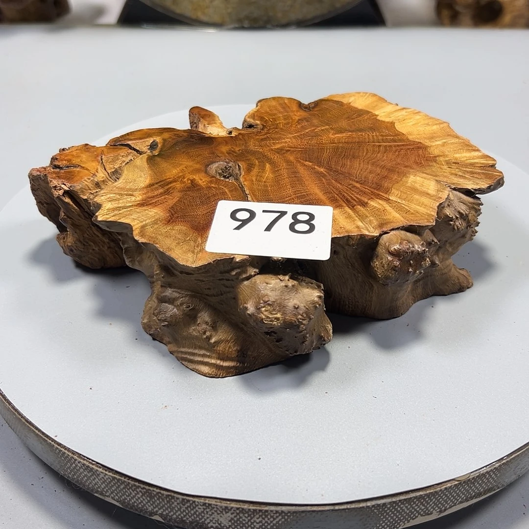 大果紫檀（缅甸花梨）猛*