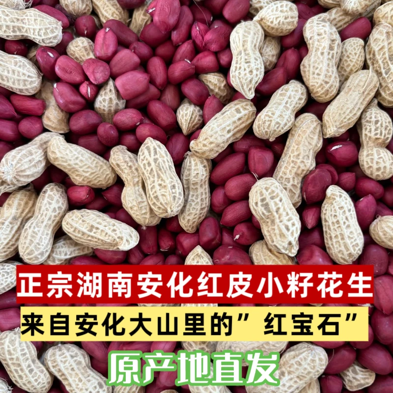 包邮正宗湖南安化县乐安镇蚩尤红皮小籽中方花生精选当季新货带壳