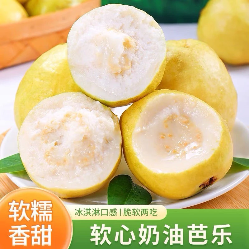 【顺丰/EMS】新鲜采摘广西白心奶油冰淇淋芭乐当季水果香甜软糯高VC