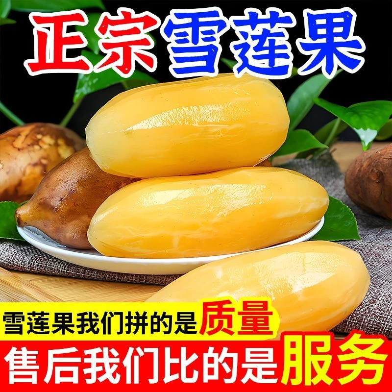 【顺丰包邮】云南天山雪莲果新鲜应季水果脆甜多汁