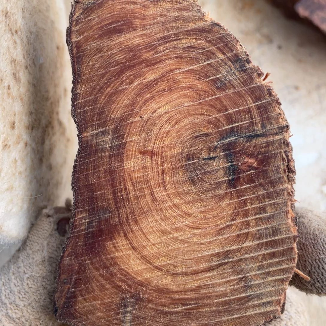 柏木黑*手串等多种