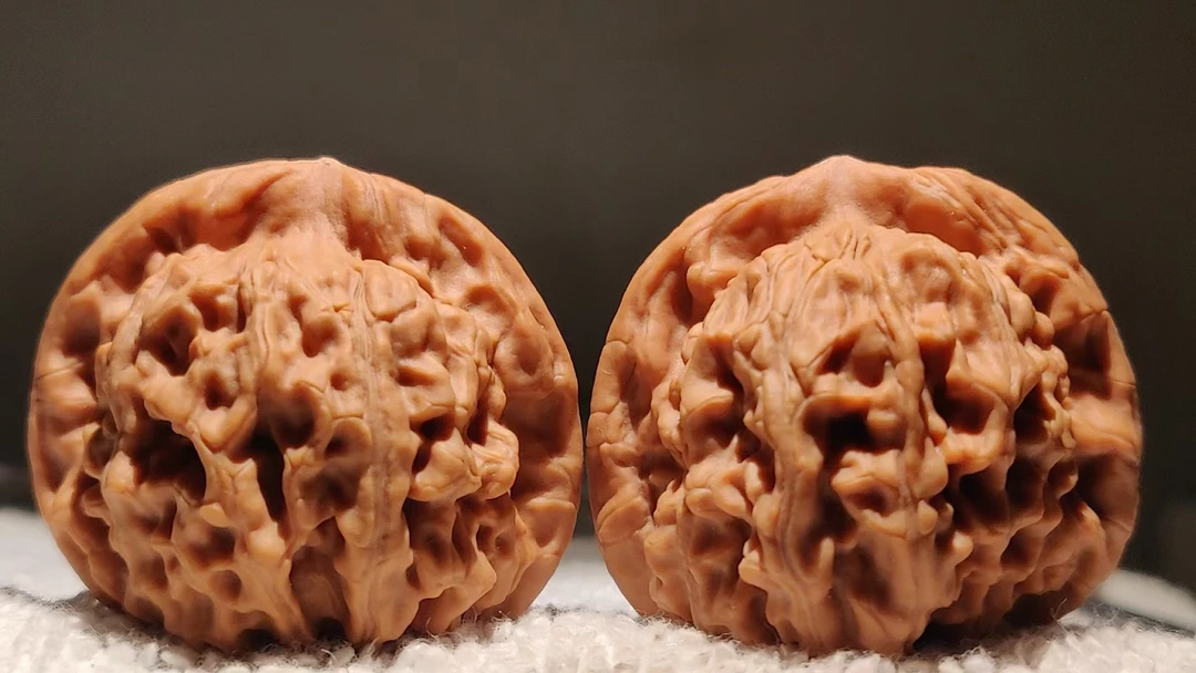 DY66核源山庄精品天地狮子头「关公帽」