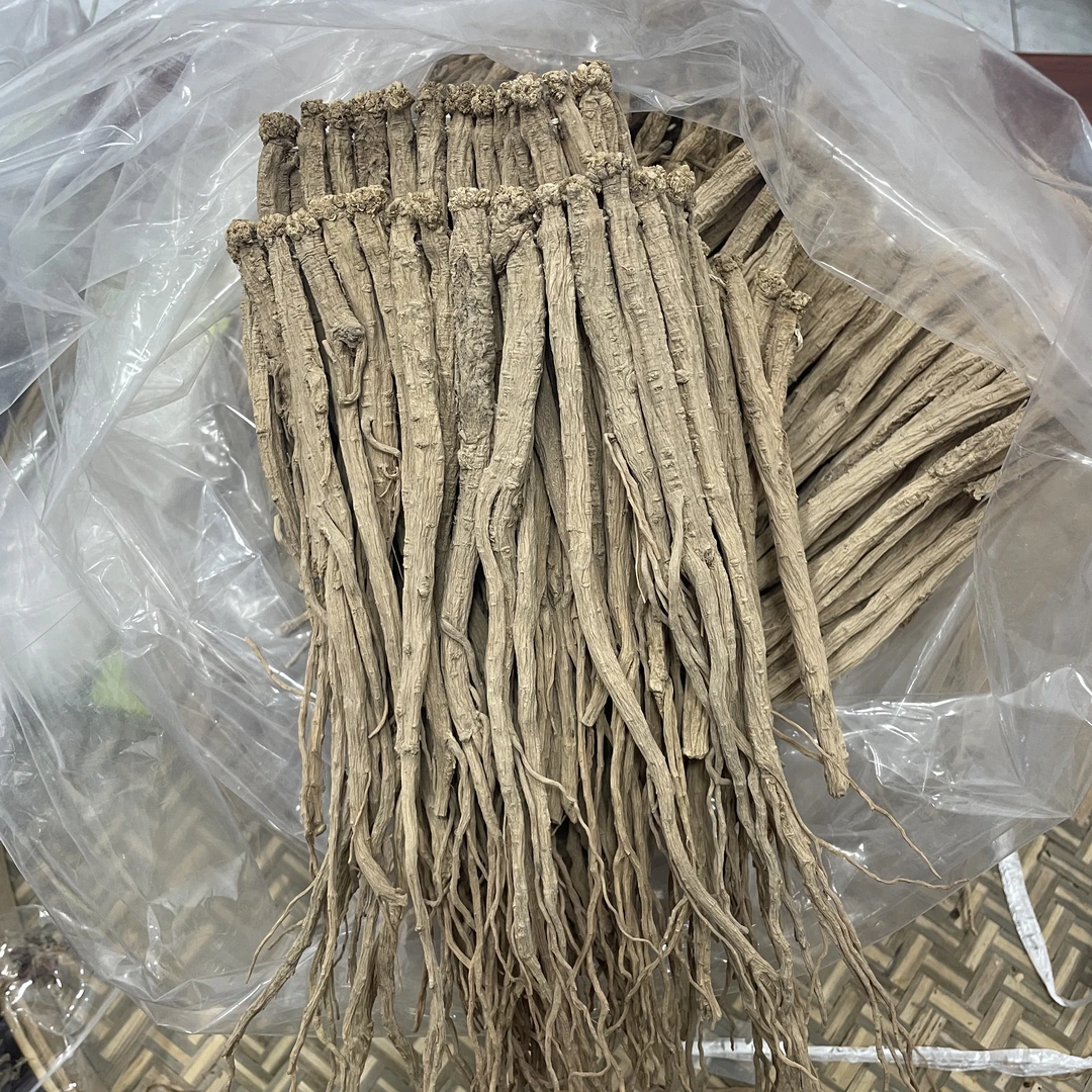 党参 煲汤材料 原色货